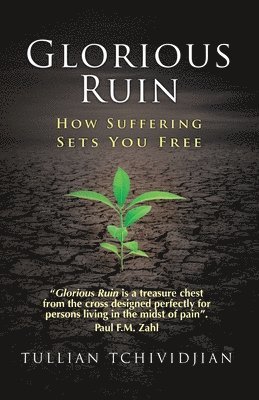 Tullian Tchividjian - Glorious Ruin, Häftad
