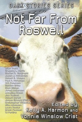 Gregory L. Norris, Kelly a. Harmon, Vonnie Winslow Crist - Not Far From Roswell, Häftad