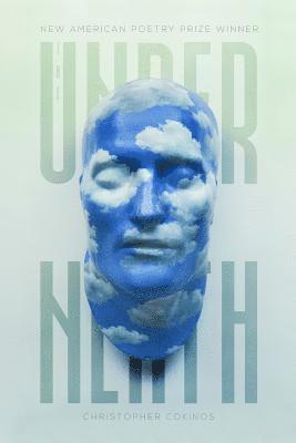 Christopher Cokinos - The Underneath, Häftad