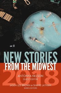 bokomslag New Stories from the Midwest 2018