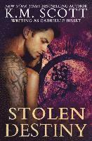 bokomslag Stolen Destiny (Destined Ones #1)