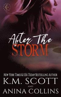 bokomslag After the Storm: A Project Artemis Novel