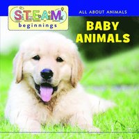 bokomslag Baby Animals