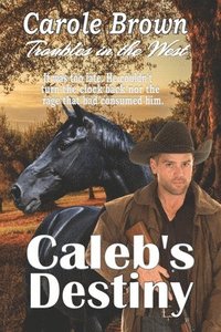 bokomslag Caleb's Destiny