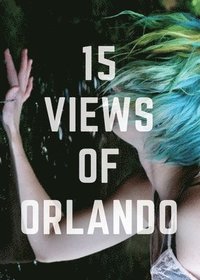 bokomslag 15 Views of Orlando