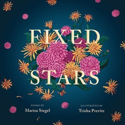 Marisa Siegel - Fixed Stars, Häftad. Tillgänglighet: Lägg i varukorg