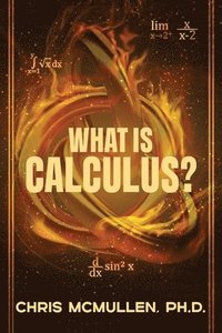 bokomslag What is calculus?