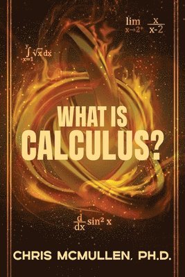 bokomslag What is calculus?
