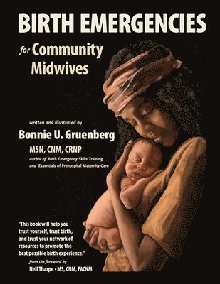 bokomslag Birth Emergencies for Community Midwives