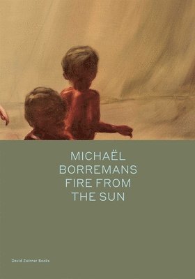 bokomslag Michal Borremans: Fire from the Sun