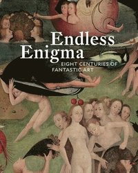 bokomslag Endless Enigma