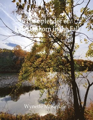 The Splendor of Lake Elkhorn in the Fall 1