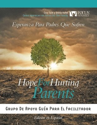 bokomslag Hope for Hurting Parents (Esperanza para Padres Que Sufren): Grupo de Apoyo Guía para el Facilitador