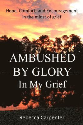 bokomslag Ambushed by Glory in My Grief