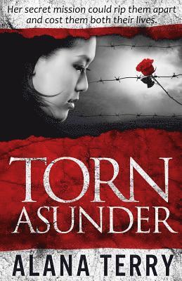 Alana Terry - Torn Asunder, Häftad