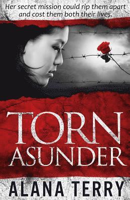 Torn Asunder 1