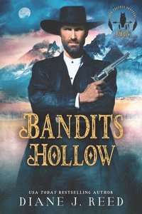 bokomslag Bandits Hollow: A Holiday Romance Novella