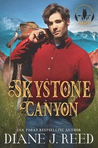 bokomslag Skystone Canyon