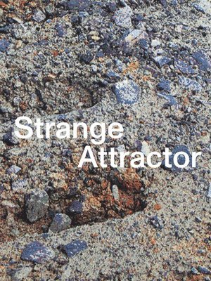 Strange Attractor 1