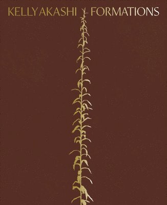 Lauren Schell Dickens - Kelly Akashi: Formations, Inbunden