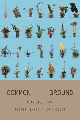Adam Silverman: Common Ground, Häftad