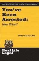 bokomslag You've Been Arrested: Now What?
