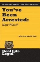 bokomslag You've Been Arrested: Now What?