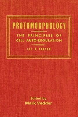 bokomslag Protomorphology