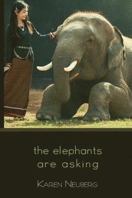 The elephants are asking