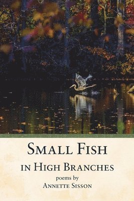 bokomslag Small Fish in High Branches