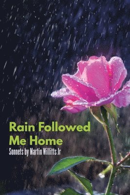Martin Willitts - Rain Followed Me Home, Häftad