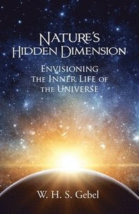 bokomslag Nature's Hidden Dimension