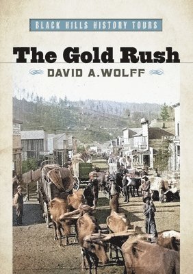 bokomslag Gold Rush