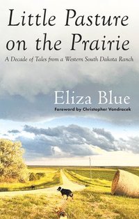 bokomslag Little Pasture on the Prairie: A Decade of Tales from a Western South Dakota Ranch