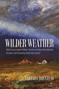 bokomslag Wilder Weather