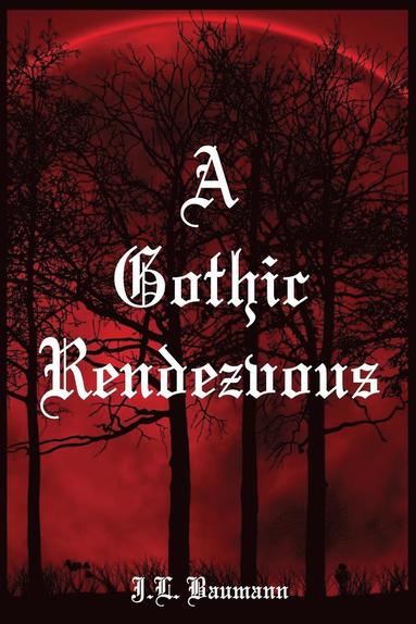 bokomslag A Gothic Rendezvous