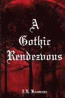 bokomslag A Gothic Rendezvous