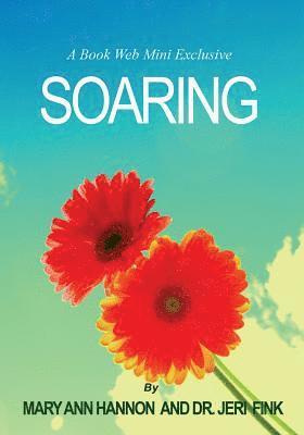 Soaring 1