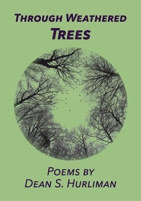 Through Weathered Trees