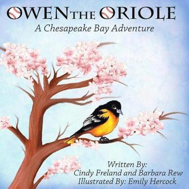 bokomslag Owen the Oriole