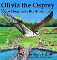 bokomslag Olivia the Osprey