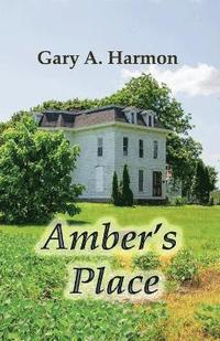 bokomslag Amber's Place