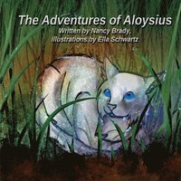 bokomslag Adventures of Aloysius