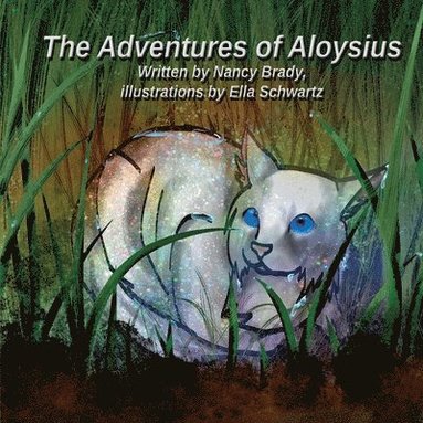 bokomslag Adventures of Aloysius