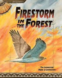 bokomslag Firestorm in the Forest