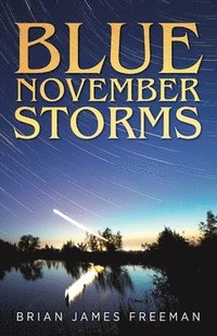bokomslag Blue November Storms