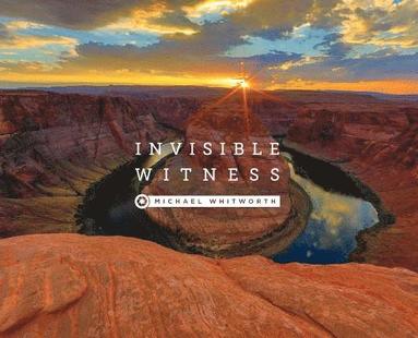 Michael Whitworth - Invisible Witness, Inbunden