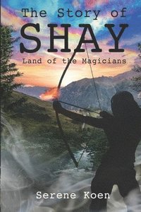 bokomslag The Story of Shay: Land of the Magicians