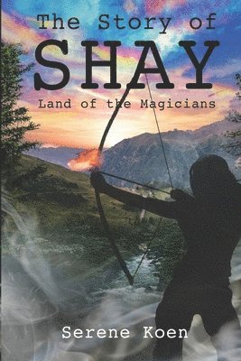 bokomslag The Story of Shay: Land of the Magicians