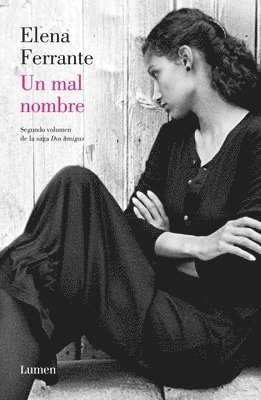 bokomslag Un Mal Nombre (DOS Amigas #2) / The Story of a New Name: Neapolitan Novels #2